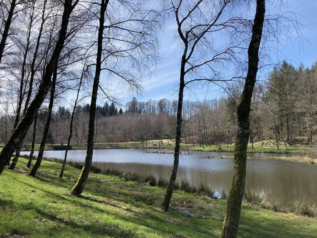Etang du Portail de Treignac