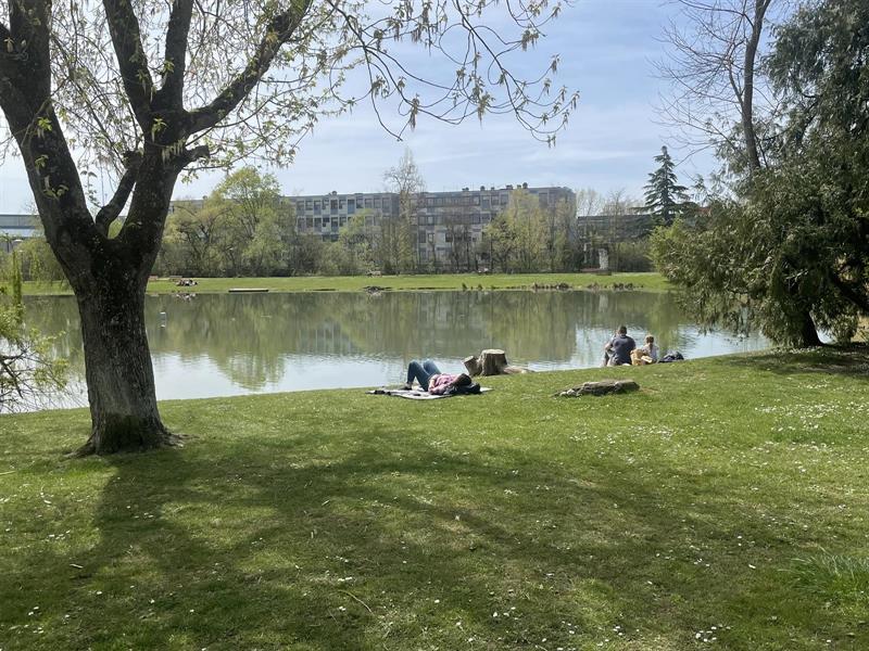 Pêche au lac de canotage à Sélestat