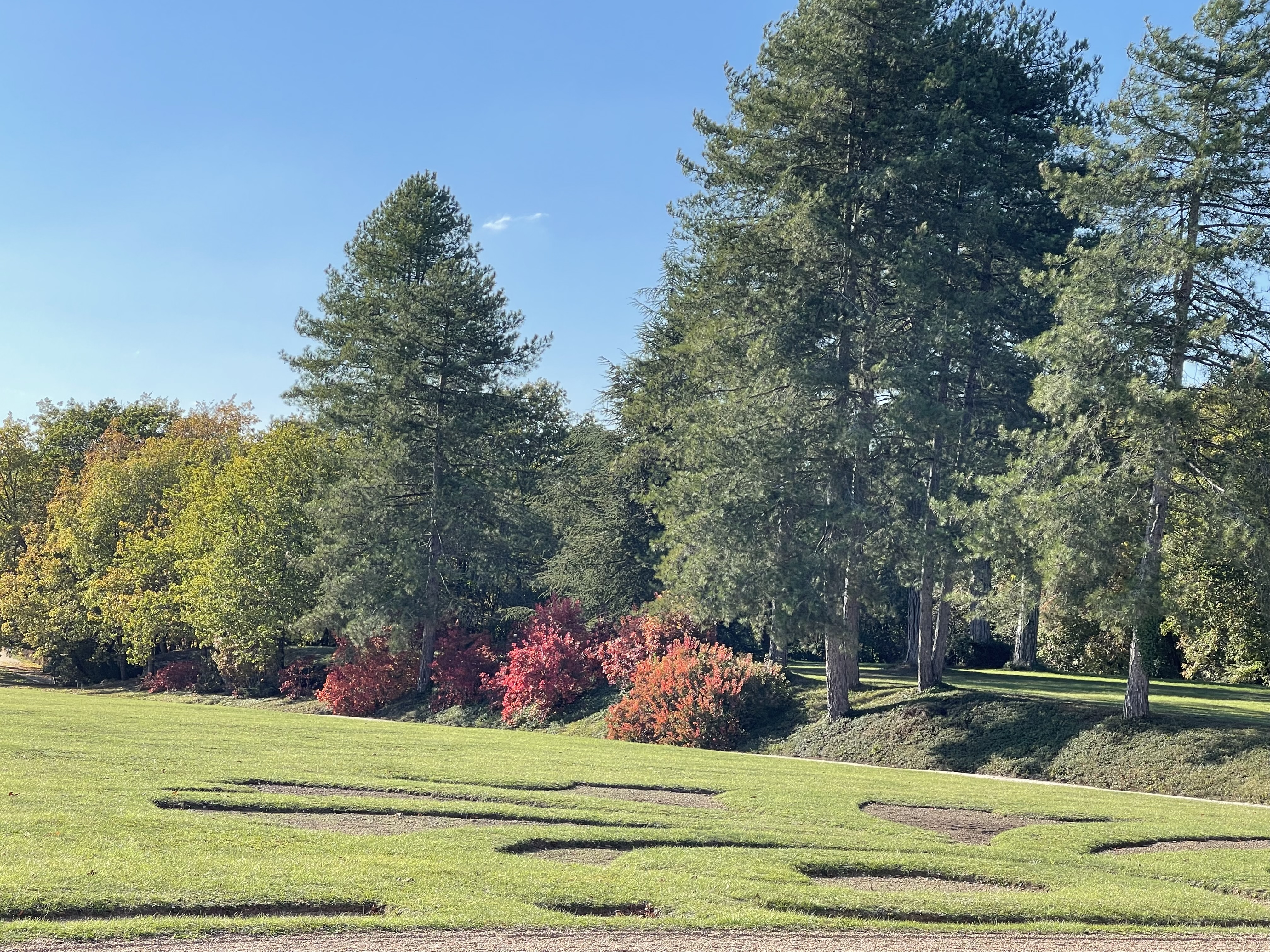Parc & Château de Beauregard