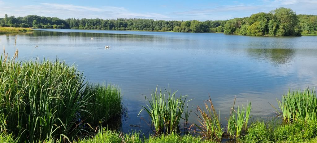 Etang de la Reyberie