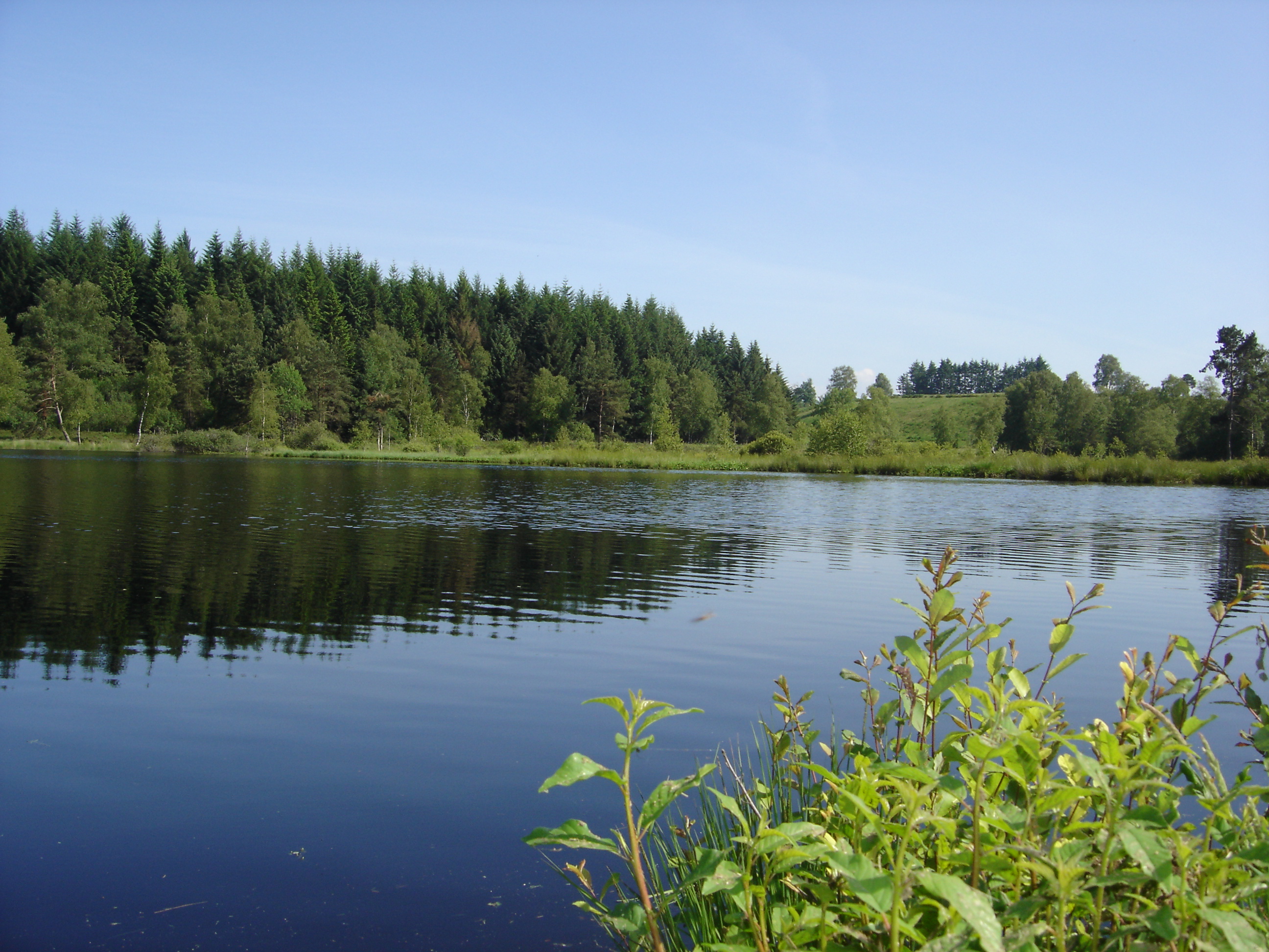Lac de Faux la Montagne - Carpe de nuit