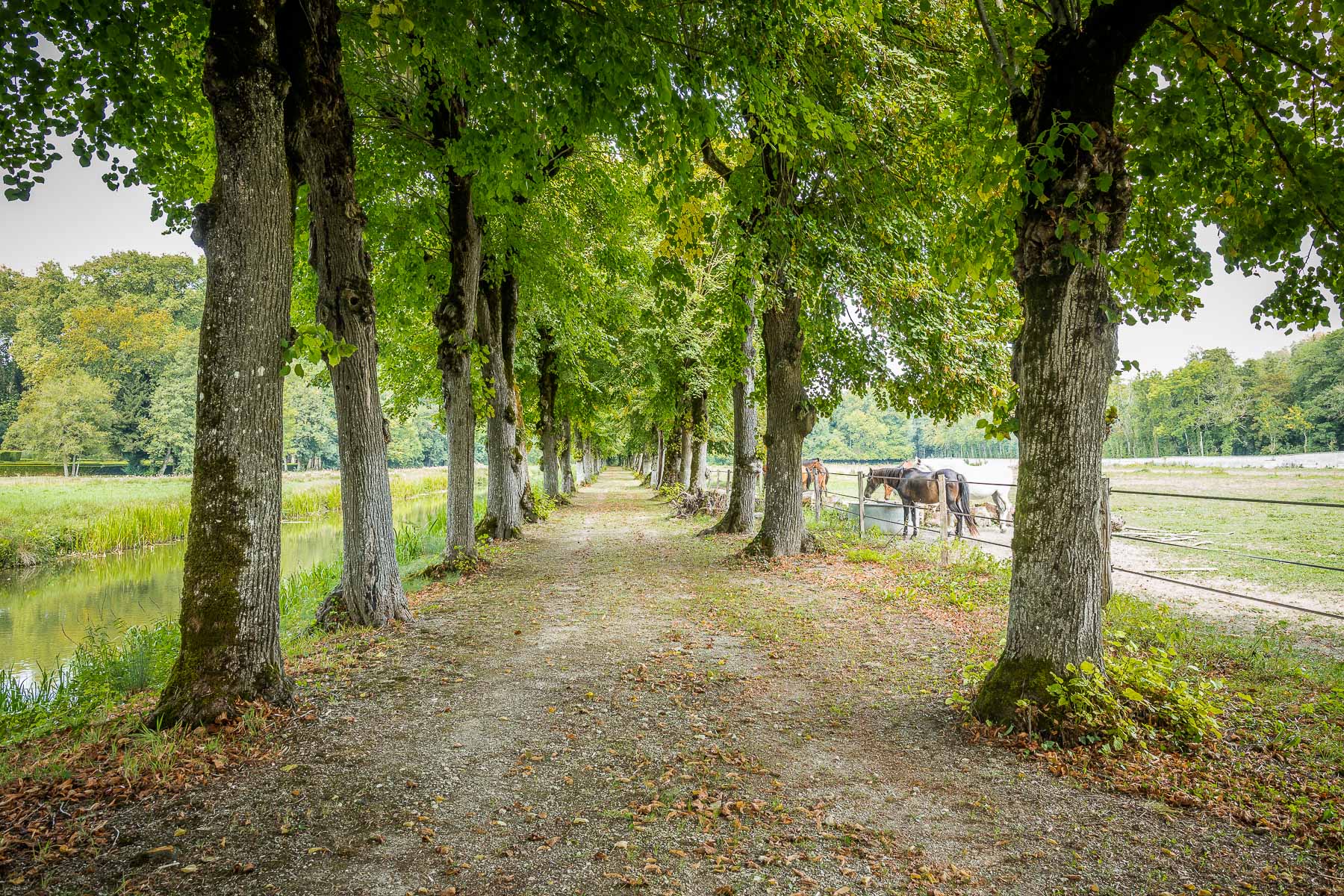 Château de Ricey-Bas, Les Riceys en Champagne