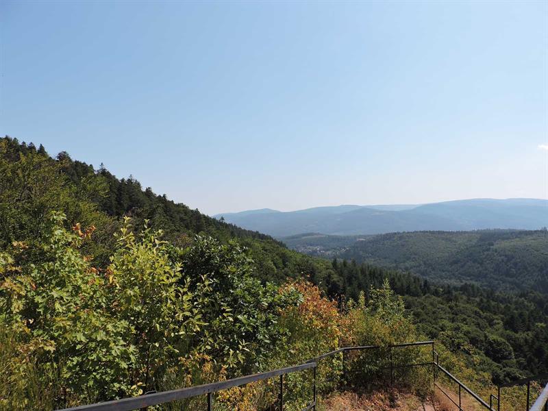 Ruines du Château du Hohenstein