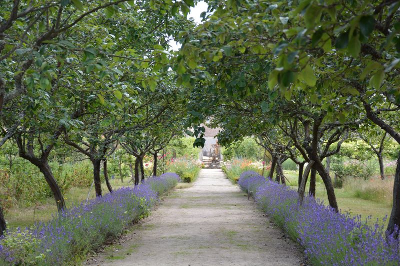 Château de La Bussière