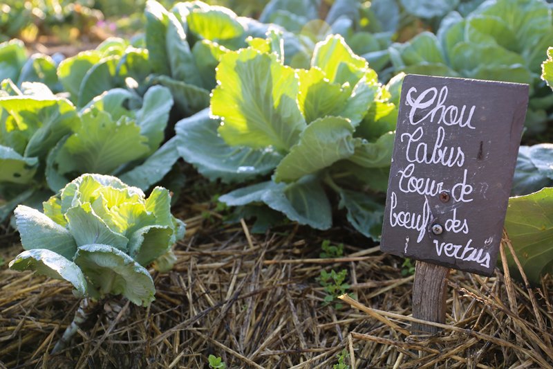 Château de La Bussière