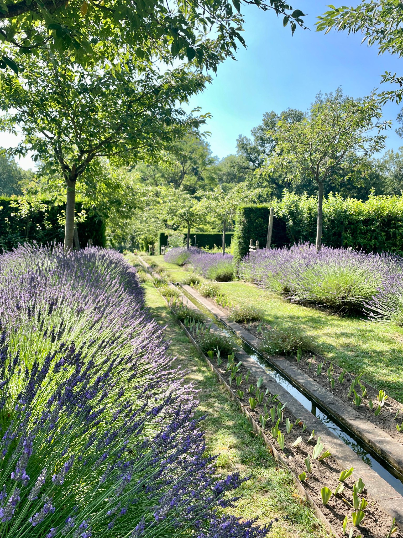 Domaine de Poulaines : Jardins et Arboretum