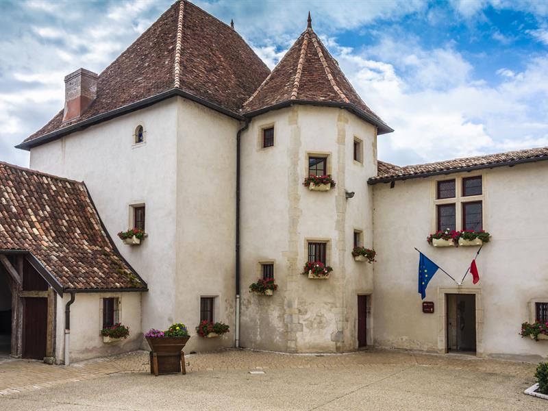 La grosse maison - villey-Saint-Étienne