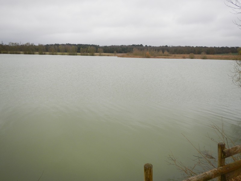 Plan d'eau de Longueville