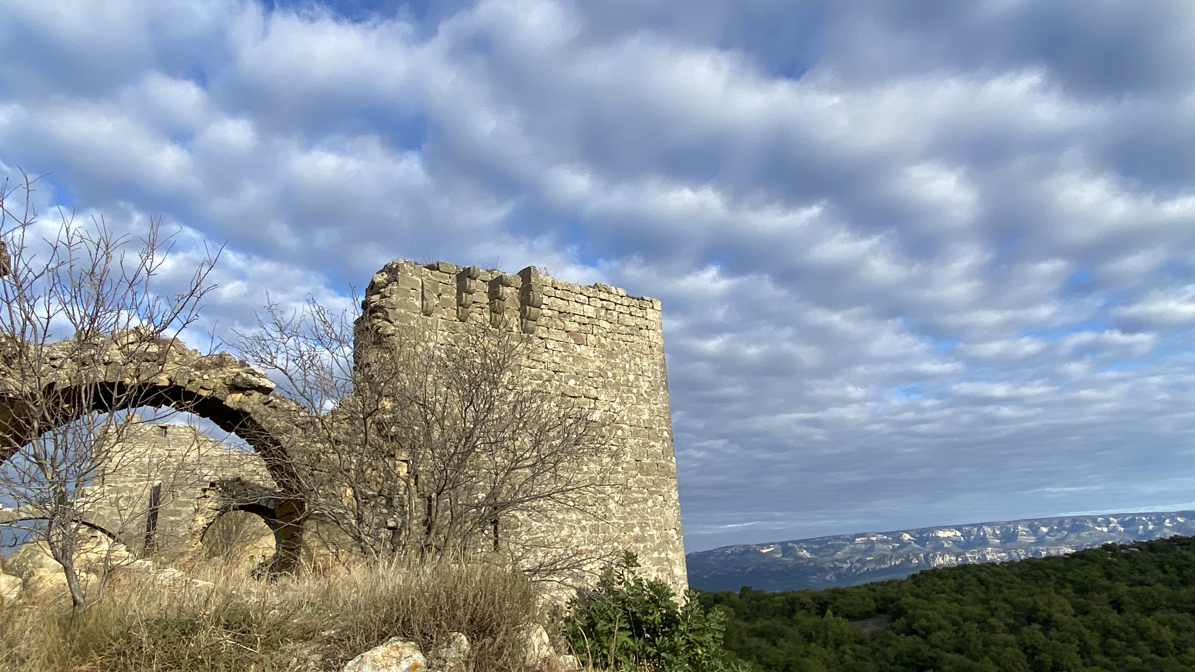 Ruines du château seigneurial de Vernègues