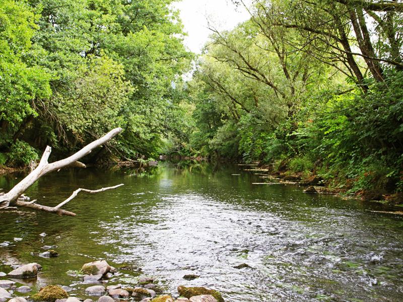 Étangs et rivières Rochesson