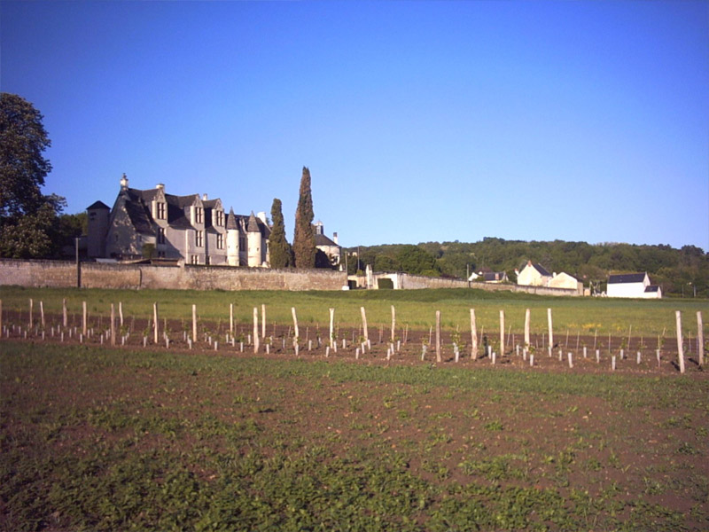 Château de la Vauguyon