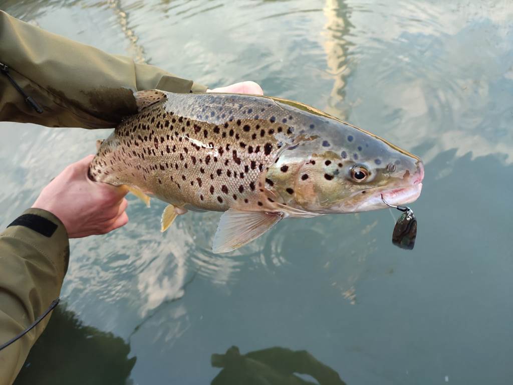 Pêche à l'étang d'Echarson