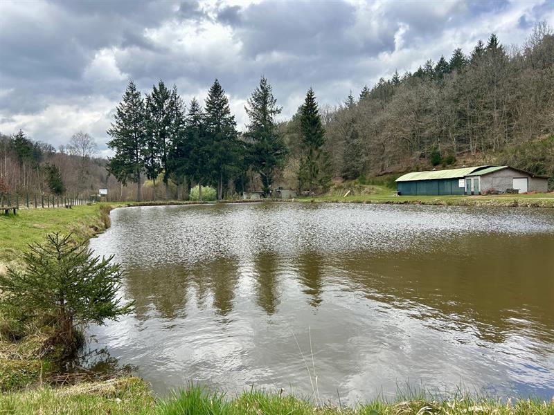 Étang de pêche la Neumühle