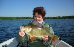 UNION DES FEDERATIONS ET ASSOCIATION DE PECHE "LES PÊCHEURS DU LAC DU DER"