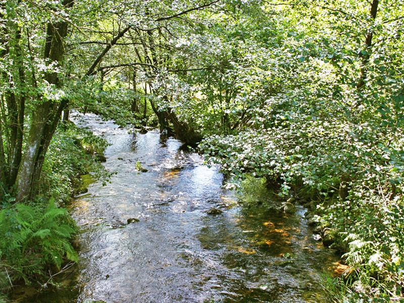 Étangs et rivières – Vagney et alentours