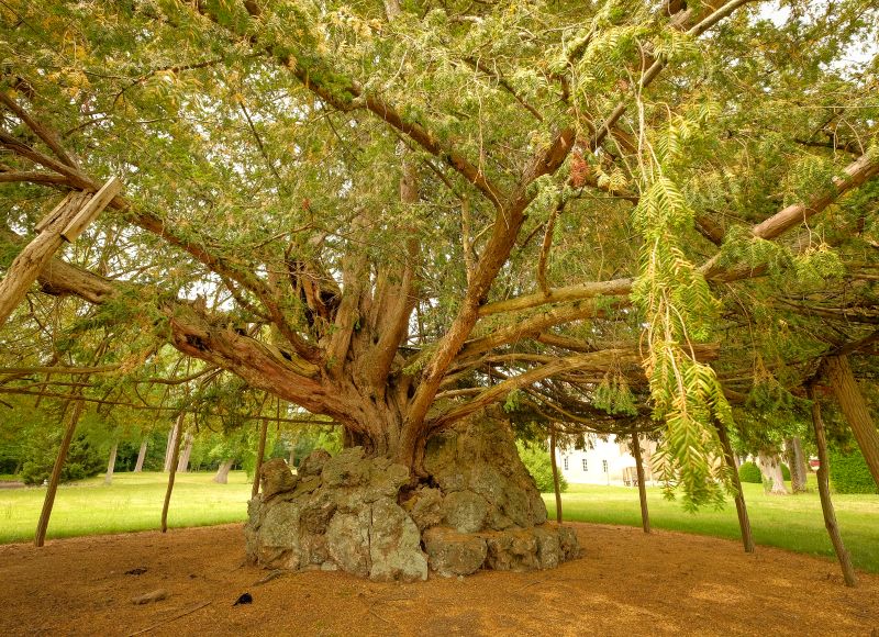 Le Château de La Motte-Feuilly