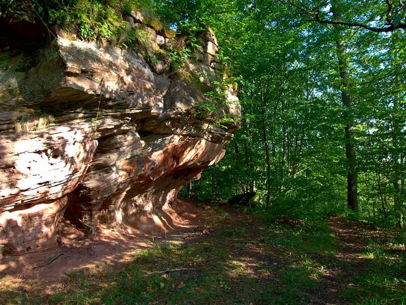 Le château du Rothenbourg
