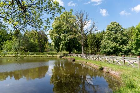 Pêche étang de Pointhaie - Bruyeres