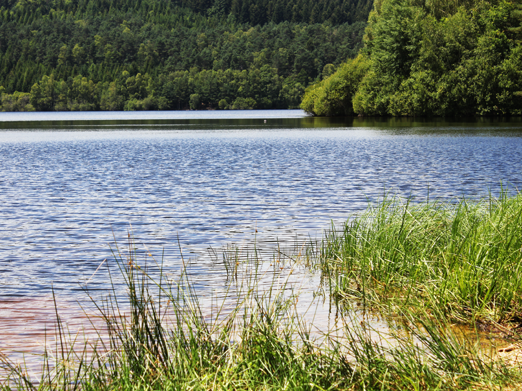 Lac de Lavaud Gelade