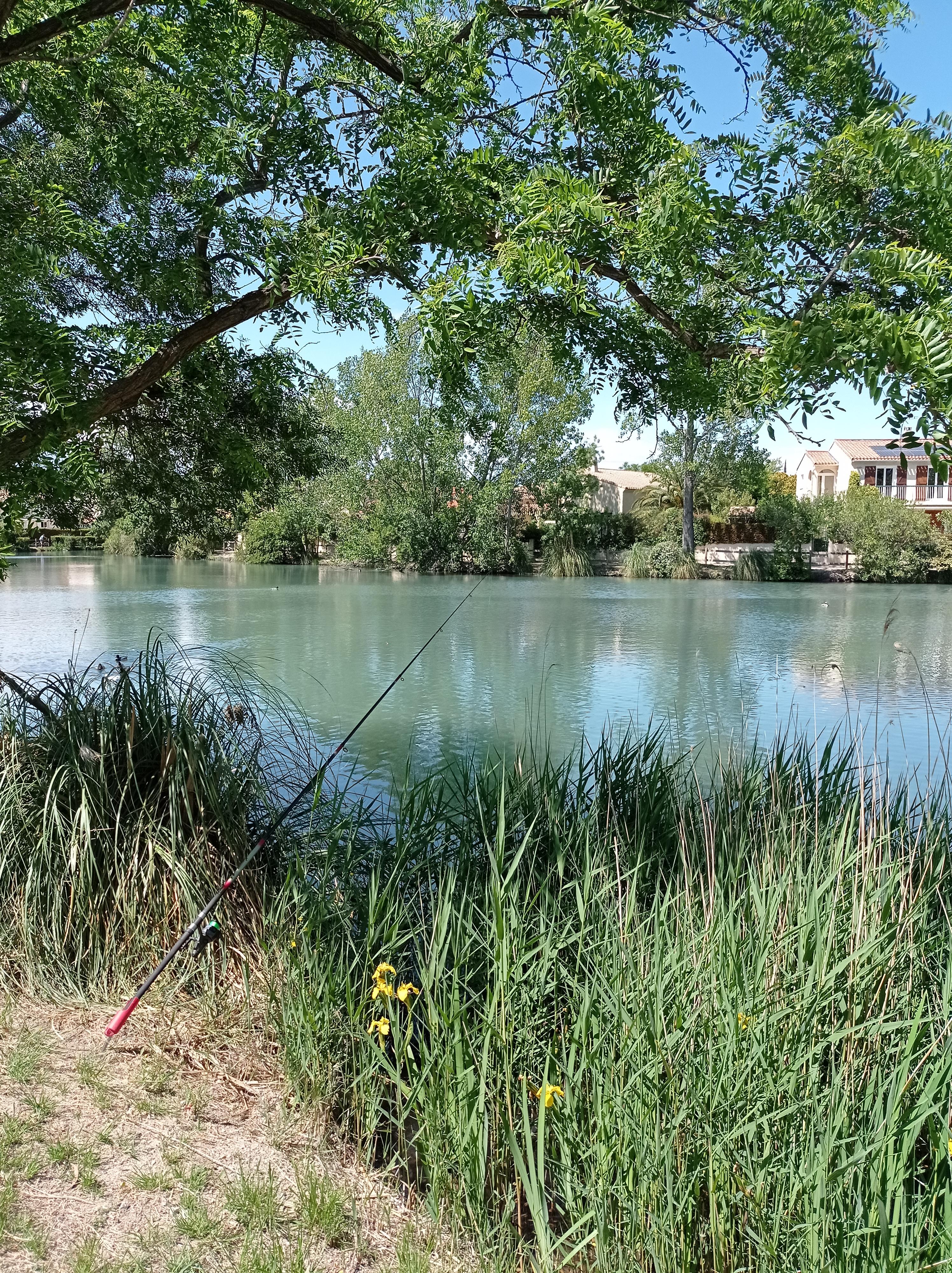 Plan d'eau Domaine du lac