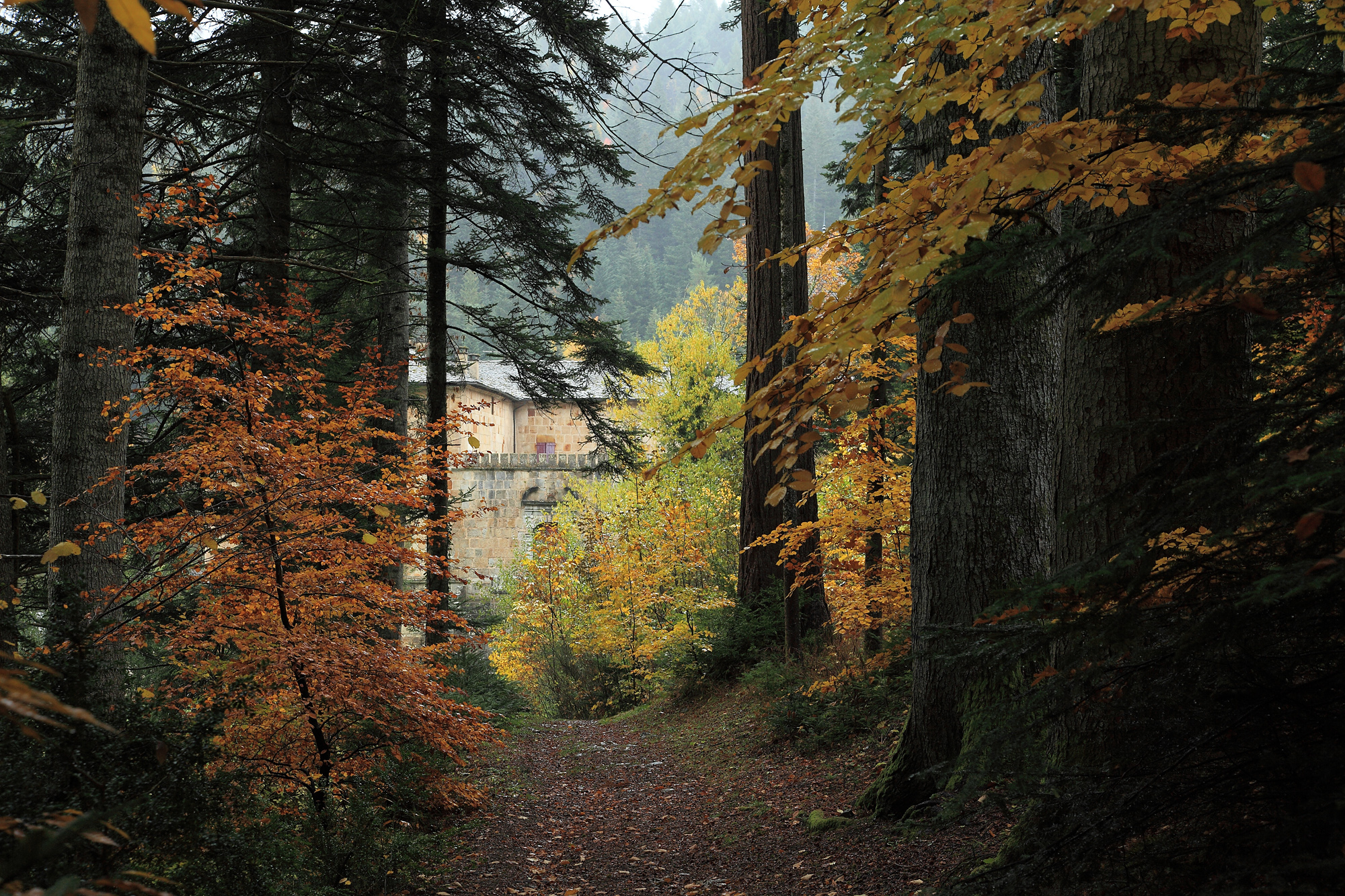 CHATEAU DE ROQUEDOLS