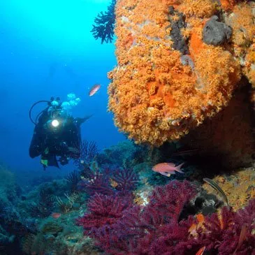 Brevet de Plongée Niveau 1 près de Marseille