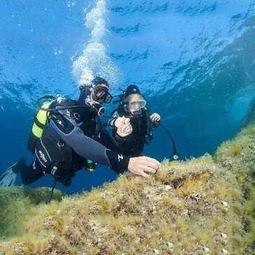 Baptême de Plongée près du Lavandou