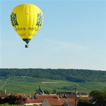 Vol en Montgolfière - Survol de Reims et de la Champagne
