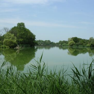 Baptême en ULM Multiaxe à Bourg-en-Bresse