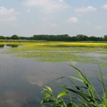 Baptême en ULM Multiaxe à Bourg-en-Bresse