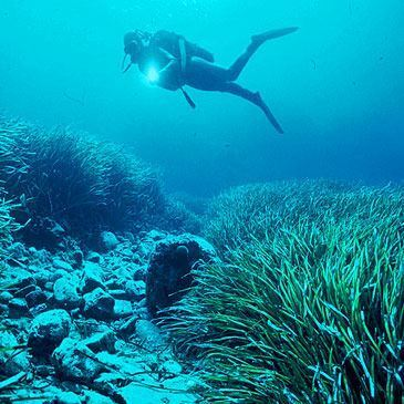 Baptême de plongée et initiation à Villefontaine