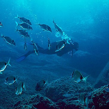 Baptême de plongée et initiation à Villefontaine