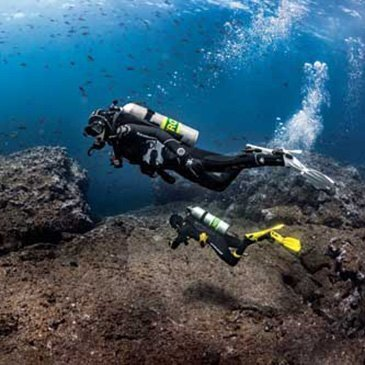 Brevet de Plongée CMAS Niveau 1 près de Biarritz