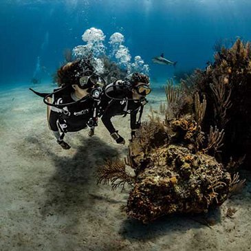 Brevet de Plongée CMAS Niveau 1 près de Biarritz