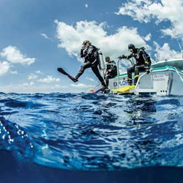 Brevet de Plongée CMAS Niveau 1 près de Biarritz