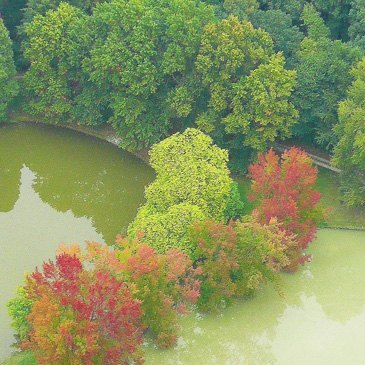 Baptême en Hélicoptère près de Bruxelles