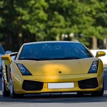 Pilotage Lamborghini Gallardo LP560 - Circuit de l'Auxois-Sud