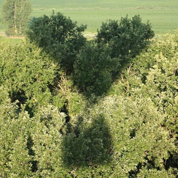 Vol en Montgolfière à Châtellerault