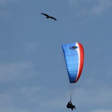 Baptême en Parapente - Survol du Cirque de Gavarnie