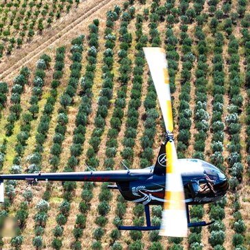 Baptême en Hélicoptère à Mâcon - Survol de la Bourgogne