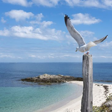 Promenade en Voilier à Bénodet en Bretagne Sud