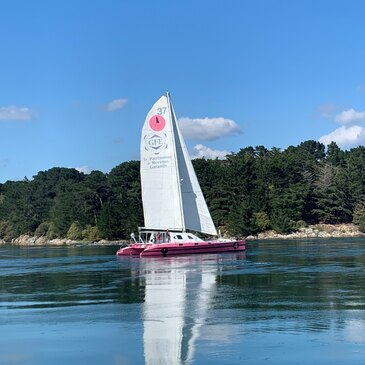 Promenade en Catamaran dans le Golfe du Morbihan