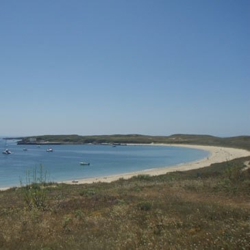 Promenade en Catamaran dans le Golfe du Morbihan