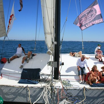 Promenade en Catamaran dans le Golfe du Morbihan