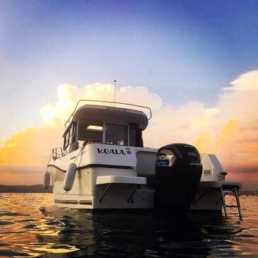 Permis Bateau à Marseille - Vieux Port