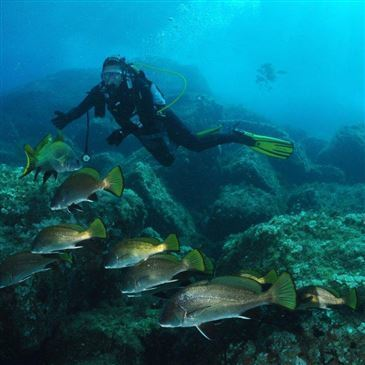 Baptême de Plongée à Santa Maria Poggio
