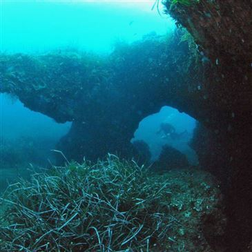 Baptême de Plongée à Santa Maria Poggio