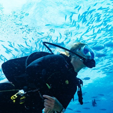 Baptême de Plongée dans le Golfe de Sagone