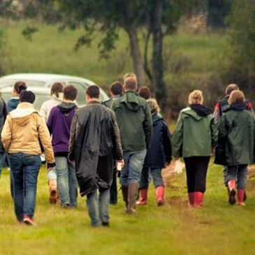 Escape Game Œnologique à Chinon