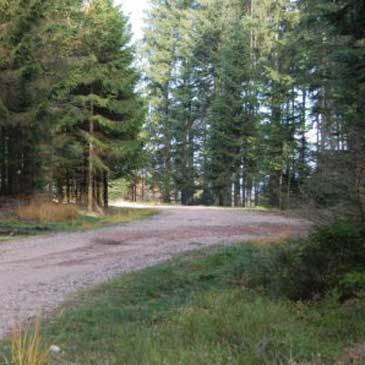 Randonnée en Quad près d'Epinal